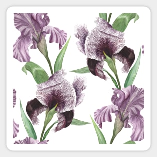 Iris flowers watercolor floral ornament Summer tropical composition. Romantic spring garden Sticker